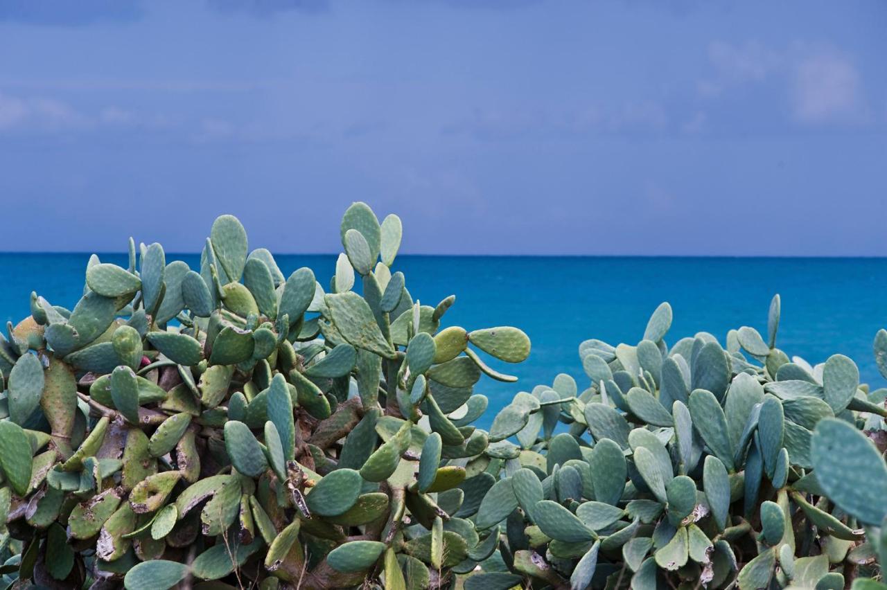 Апартаменты La Terrazza Di Puglia Конверсано Экстерьер фото